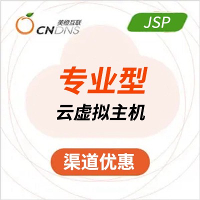 纳雍美橙专业型JSP虚拟主机